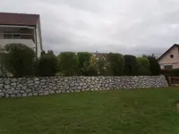 Mémoires d'Arbres