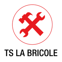 Logo TS La bricole