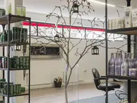 Guido Coiffure