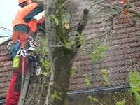 Eggenberger Forst AG