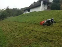 Koch Gartenbau GmbH