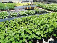 Riem Bioprodukte