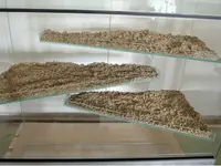 Reptiking GmbH