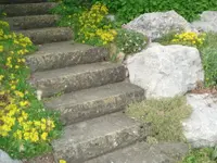 Knür Garten- und Tiefbau GmbH - Klicken Sie, um das Bild 8 in einer Lightbox vergrössert darzustellen