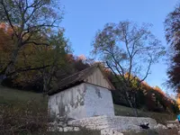 astwerk baumpflege