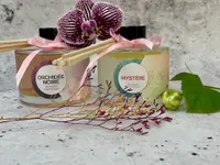 Boutique Elle d'Ange Cosmétiques / Re'Belle Maquillage
