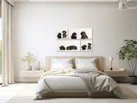 Fotografik 11 by Fabienne Bommer-Büttler