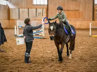 Reitsportzentrum St. Josefen AG - Klicken Sie, um das Bild 11 in einer Lightbox vergrössert darzustellen