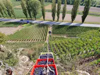 Cave de la Brunière Sàrl