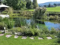 Grünbereich