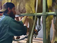 Caseificio Töira
