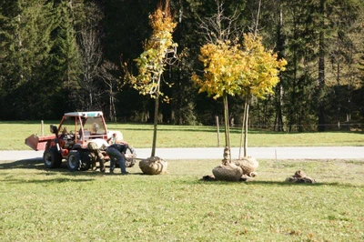 Schopfer Gartenbau AG