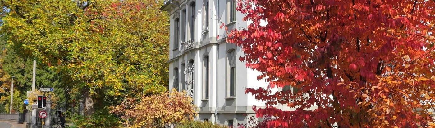 Rütimann Rechtsanwälte I Anwaltskanzlei in Winterthur für Bau-, Erb- und Scheidungsrecht