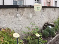 Schäfer Schlosserei & Metallbau AG