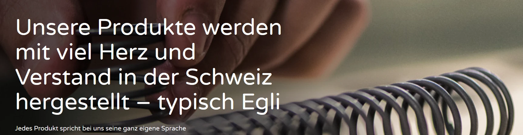 Egli Federnfabrik AG