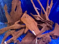 ASA Freis Aquarium Service