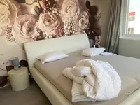 Gebr. Paradiso GmbH