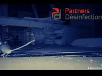 Partners Desinfection | Votre spécialiste en Nuisibles
