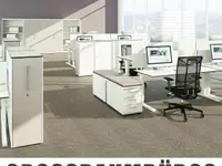 D.T.E. CONCEPT GmbH