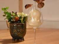 Restaurant zur Säge GmbH