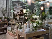 Blumengeflüster GmbH