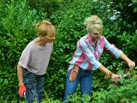 PLANTiDEAL, sourcing de plantes & conseils jardin