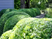 GGZ Gartenbau