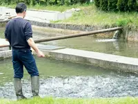 Pisciculture du Gottéron