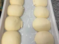 Pulci2