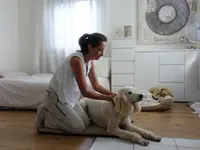 Hundephysiotherapie Touch for Dog