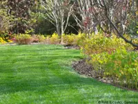 Rust & Co AG, Gartenbau