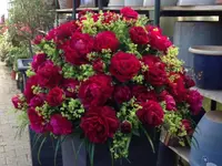 Blumen P. Gätzi