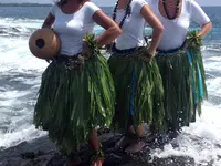 ALOHA MAI SAGL -  Lorenza Manetti