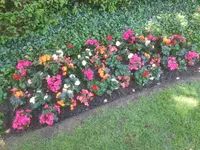 MM Gartenpflege GmbH