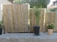 Vollenweider Gartenbau AG