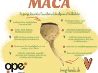 LivingHands GmbH Ganzheitliche Therapien im Seetal