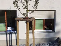 GartenTeam Inäbnit AG