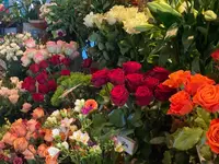 Aux Arcades fleurs