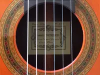 Guitarrista