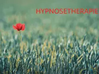 Med. Massagepraxis & Hypnosetherapie Anja Scheib