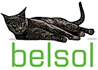 Belsol-Mitterer SA logo