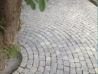Gartengestaltung Patrick Müller GmbH