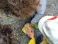 Tageskindergarten Froschkönig