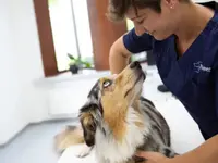 Kleintierpraxis Vivavet GmbH