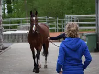 Equine Sports Medicine Services GmbH - Klicken Sie, um das Bild 8 in einer Lightbox vergrössert darzustellen