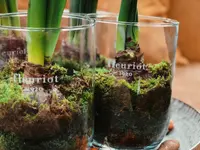 Fleuriot Fleurs, Fleuriste la Corraterie