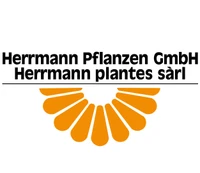 Herrmann Pflanzen GmbH-Logo