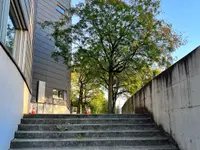 Baumpflege Grosjean GmbH