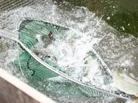 Pisciculture du Gottéron