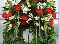 Blumen Zweerus